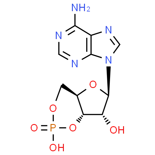 Hot Sell Factory Supply Raw Material CAS 60-92-4 ,Cyclic AMP