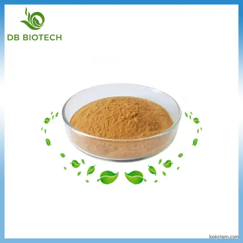 High quality Astragalus Polysacharin/Astragalus Root Extract in bulk supply