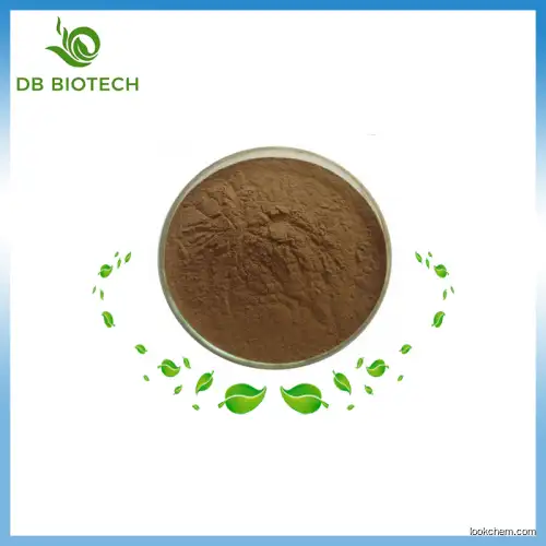 ECHINACOSIDE  /verbascoside 15% Cistanche Tubulosa Extract Cistanche Deserticola Extract Cistanche