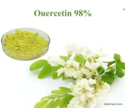 Natural Extract Quercetin CAS 117-39-5