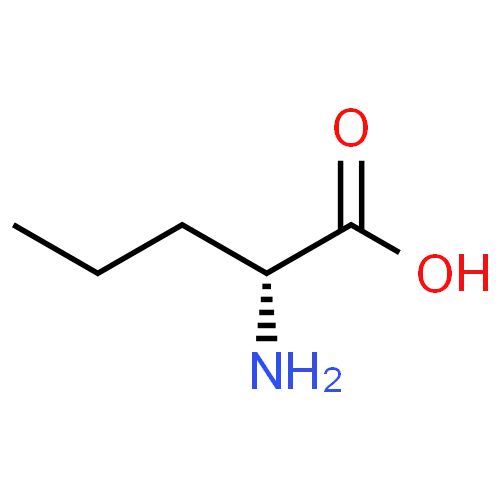 Hot Sell Factory Supply Raw Material CAS 2013-12-9 D-Norvaline