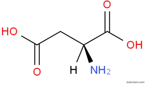 L-Aspartic acid  :56-84-8
