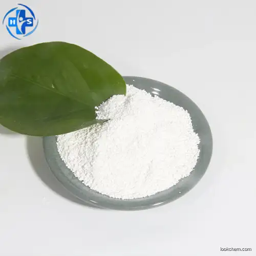 Shun Beng(super Sodium starch Glycolate)