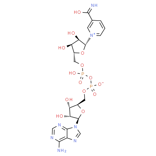 Hot Sell Factory Supply Raw Material CAS 53-84-9 NAD+