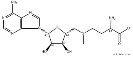 CAS：29908-03-0 S-Adenosyl-L-Methionine Disulfate Tosylate