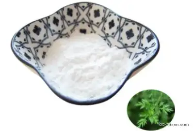CAS 88495-63-0 Herbal Extract Artesunate