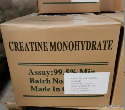 China Biggest Manufacturer factory sales Creatine Monohydrate  CAS 6020-87-7