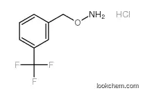 1-[(AMMONIOOXY)METHYL]-3-(TRIFLUOROMETHYL)BENZENE CHLORIDE：cas：15256-07-2