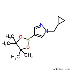1-(CyclopropylMethyl)-4-(4,4,5,5-tetraMethyl-1,3,2-dioxaborolan-2-yl)-1H-pyrazole;CAS:1000801-75-1