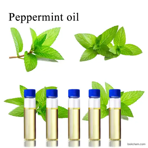 Peppermint oil CAS :8006-90-4 pharmaceuticial food cosmetic grade for toothpaste drink breadpharmaceuticial food cosmetic grade for toothpaste drink bread