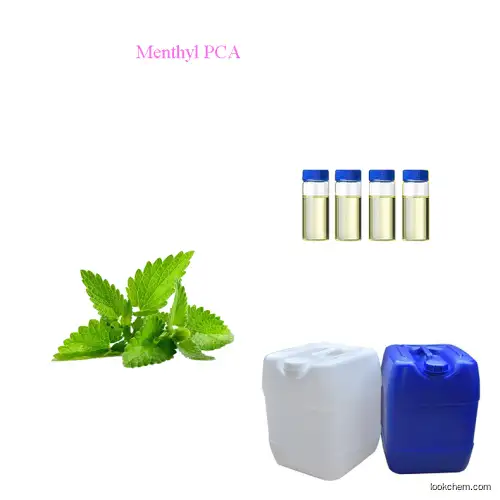 Menthyl PCA  CAS 64519-44-4 Perfume Body wash Shampoo soap