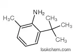 6-TERT-BUTYL-O-TOLUIDINE:cas:13117-94-7