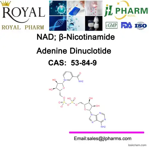 NAD; β-Nicotinamide Adenine Dinuclotide