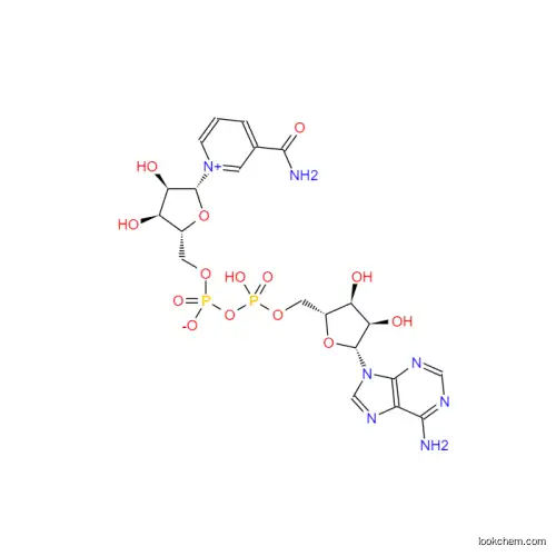 NAD; β-Nicotinamide Adenine Dinuclotide