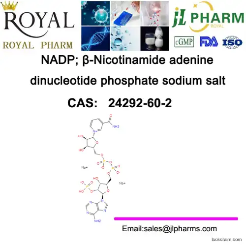 NADP; β-Nicotinamide adenine dinucleotide phosphate sodium salt