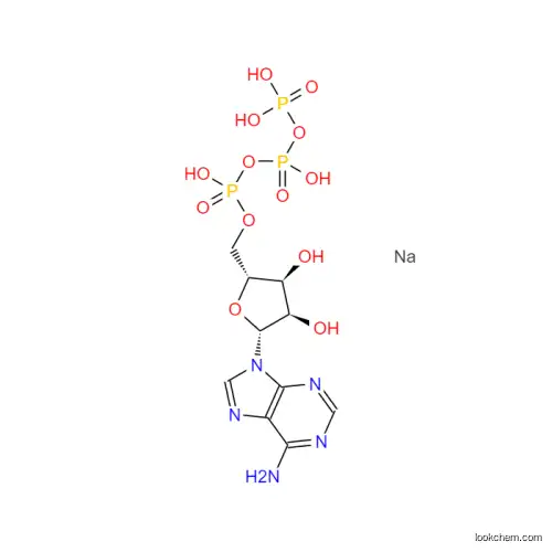 ATP; Adenosine 5′-triphosphate disodium salt