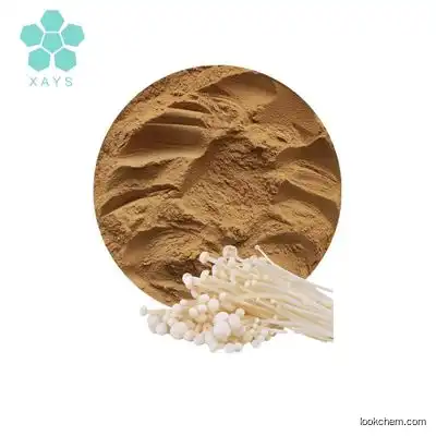 Youshuo(Quanao) Supply Flammulina Velutipes Extract Enoki Mushroom Extract Powder 10:1
