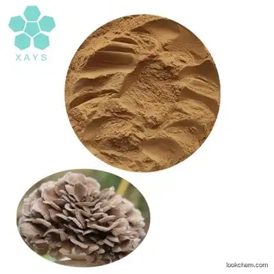 Free Sample Grifola Frondosa Maitake Mushroom Extract Powder 10:1