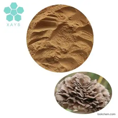 Free Sample Grifola Frondosa Maitake Mushroom Extract Powder 10:1