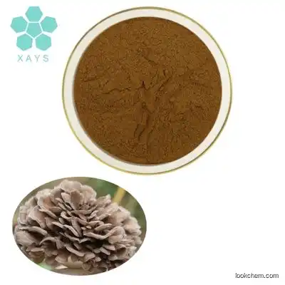 Food Grade Grifola Frondosa Maitake Mushroom Extract 50% Polysaccharide Powder