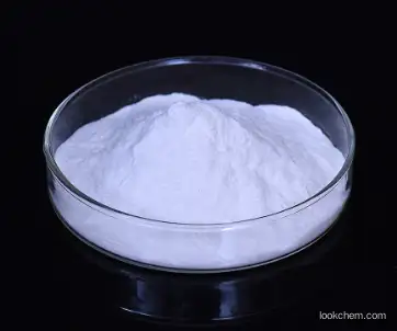 China Largest factory Manufacturer Supply Starch Sodiilm octenylsuccinate  CAS 66829-29-6