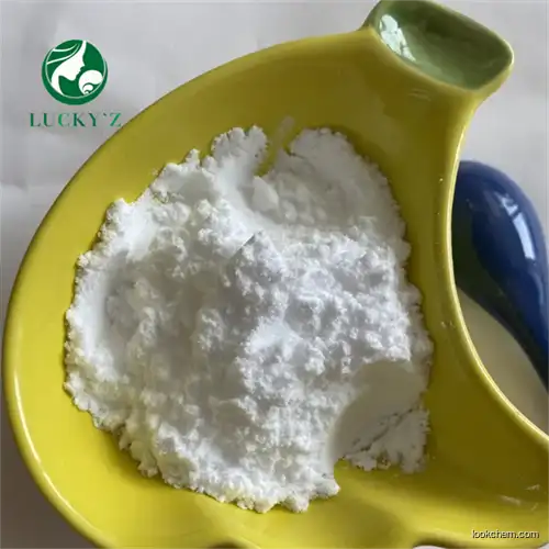 High Purity D-Pyroglutamic Acid CAS 4042-36-8 with Best Price