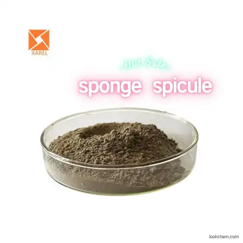 Natural extract Sponge spicule powder cas:37258-79-0