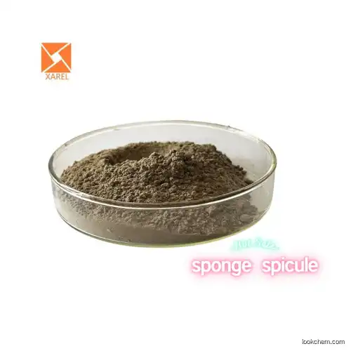 Natural extract Sponge spicule powder cas:37258-79-0