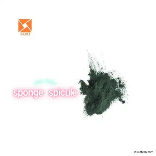High quality 99% pure Sponge spicule factory cas:37258-79-0