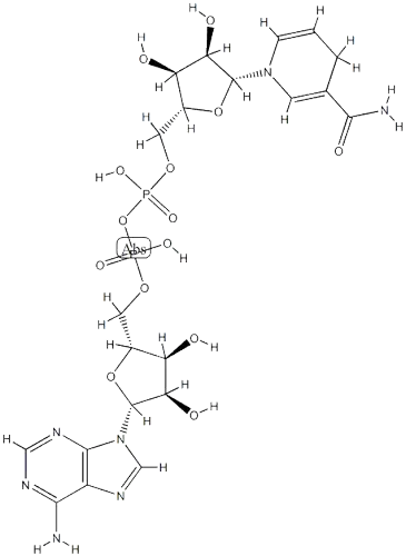 dihydronicotinamide-adenine dinucleotide  CAS:58-68-4