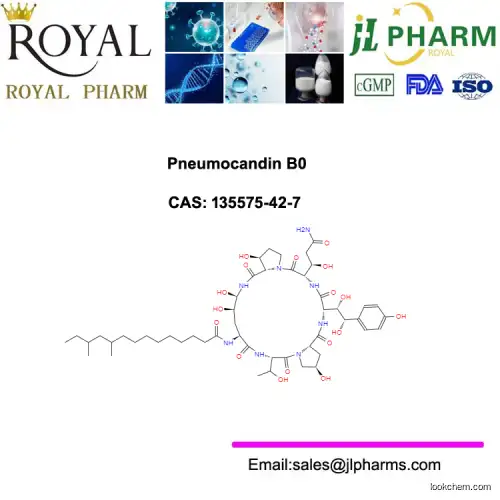 Pneumocandin B0.