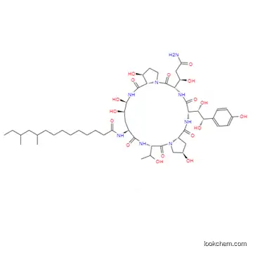 Pneumocandin B0.