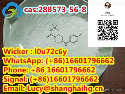 High quality cas 288573-56-8 tert-butyl 4-(4-fluoroanilino)piperidine-1-carboxylate  99.9%