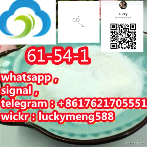 High Quality Tryptamine CAS 61-54-1 Powder 2- (1H-Indol-3-yl) Ethanamine in Stock