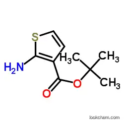 2-AMINOTHIOPHENE-3-CARBOXYLIC ACID T-BUTYL ESTER