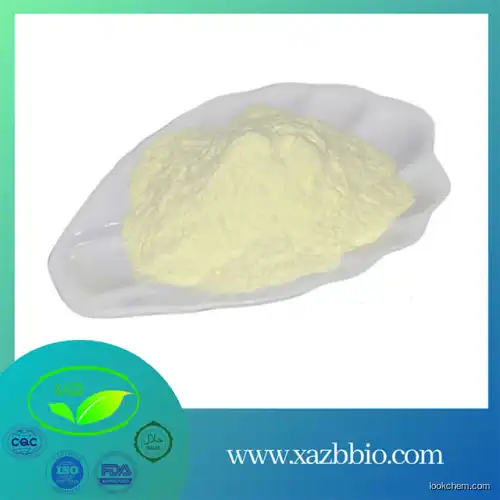 Wholesale Price Ginseng Root Extract Powder Ginsenoside