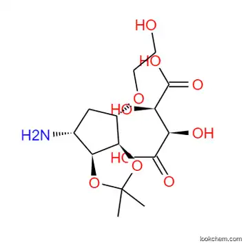 2-((3aR,4S,6R,6aS)-6-amino-2,2-dimethyltetrahydro-3aH-cyclopenta[d][1,3]dioxol -4- yloxy)ethanol L-tataric acid