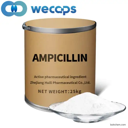 Ampicillin(69-53-4)