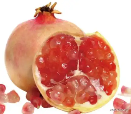 CAS No. 65995-63-3 Pomegranate Peel Extract Punicalagin 98%