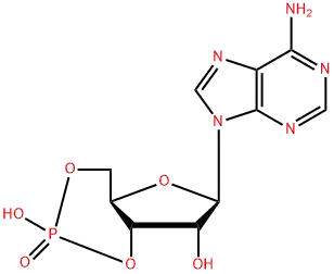 Offer 60-92-4 low price Adenosine Cyclophosphate in stock