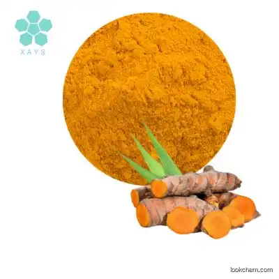 ISO Certification Curcuma Longa Root Extract Turmeric Extract Powder 10:1