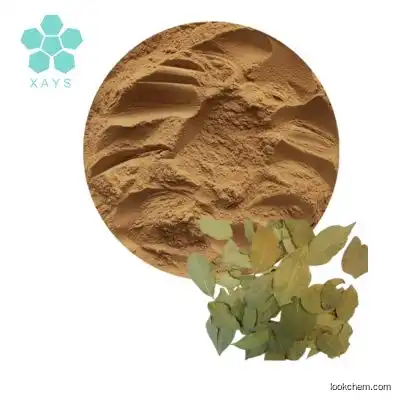 ISO Certification Natural Laurus Nobilis Leaf Extract Bay Leaf Extract Powder