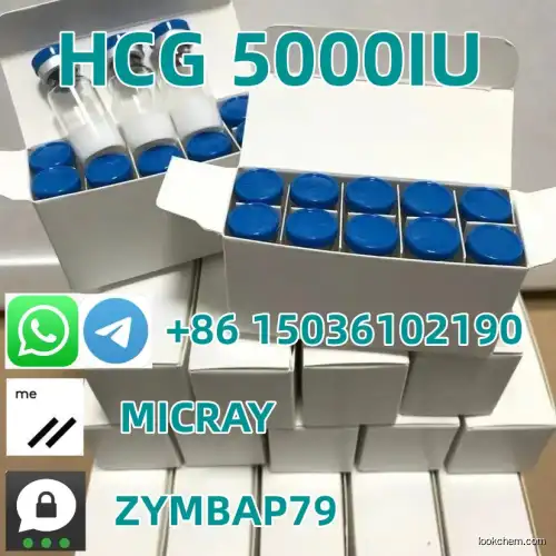 HCG powder factory supplies Chorionic gonadotropin 5000iu/bottle CAS NO.9002-61-3 CAS NO.9002-61-3