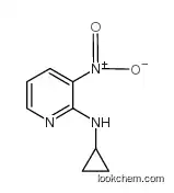 N2-CYCLOPROPYL-3-NITROPYRIDIN-2-AMINE CAS290313-20-1