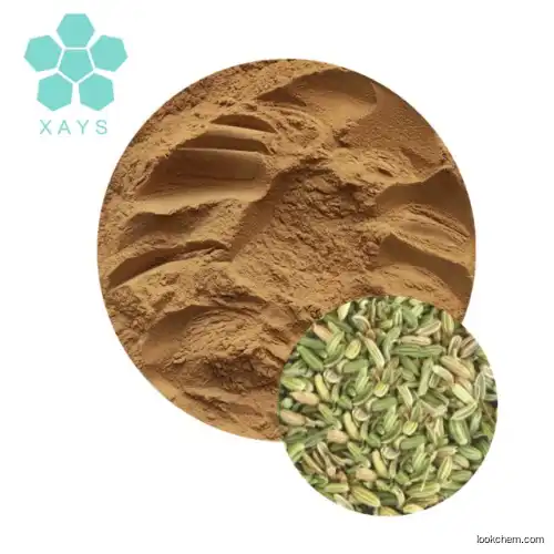 High Quality Pure Natural Fructus Foeniculi Extract Fennel Seed Extract Powder