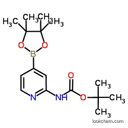 tert-Butyl[4-(4,4,5,5-tetramethyl-1,3,2-dioxaborolan-2-yl)pyridin -2-yl]carbamateCAS1095708-32-9