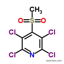 Methyl 2,3,5,6-tetrachloro-4-pyridyl sulfoneCAS13108-52-6