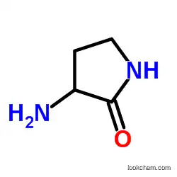 3-AMINO-PYRROLIDIN-2-ONE CAS2483-65-0