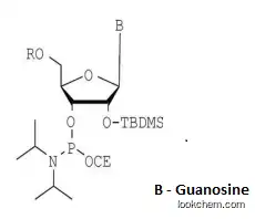 DMT-2′O-tBD-rG(ibu) Phosphoramidite