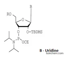 DMT-2′O-tBD-rU Phosphoramidite(118362-03-1)